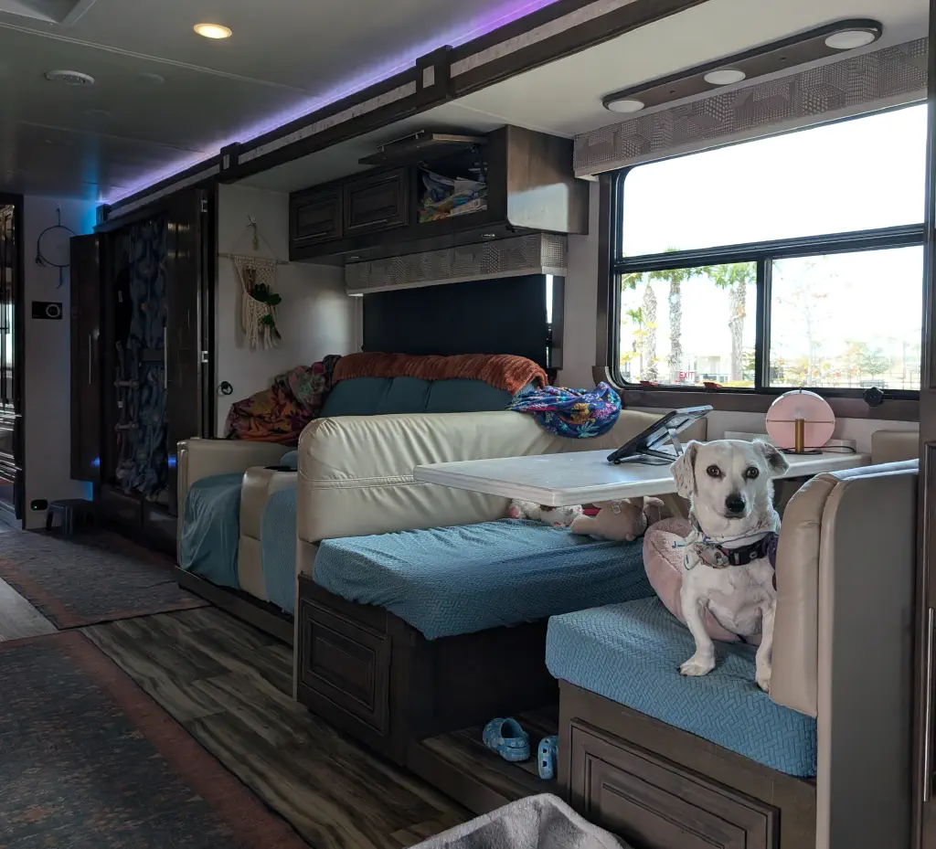 The dinette, steadfastly protected by a fierce dog (hi Betty!), and the recliners. And you just gotta love the LED strips!